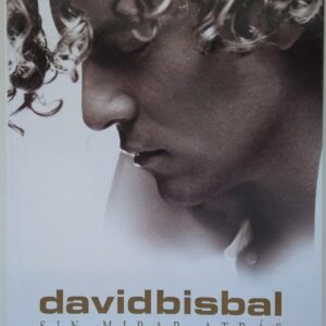 Davidbisbal 1.jpg